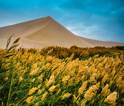 甘肅敦煌+嘉峪關(guān)+張掖4日3晚跟團游